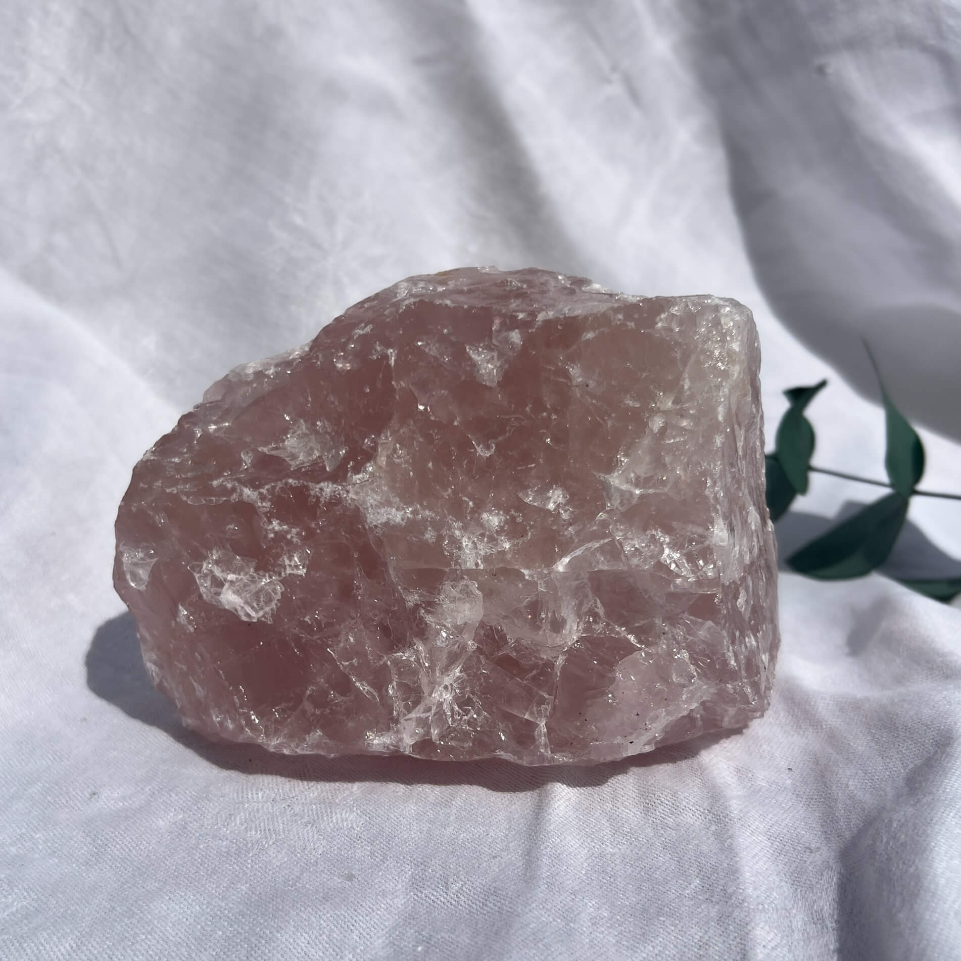 Rose Quartz Raw Display Crystal