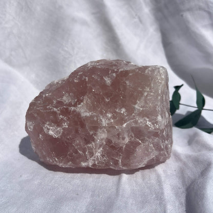 Rose Quartz Raw Display Crystal