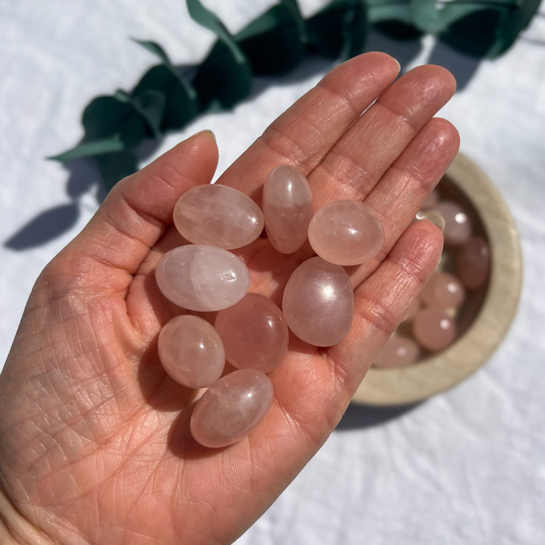 A handful of gemmy pink rose quartz crystal tumblestones with a eucalyptus sprig in the background