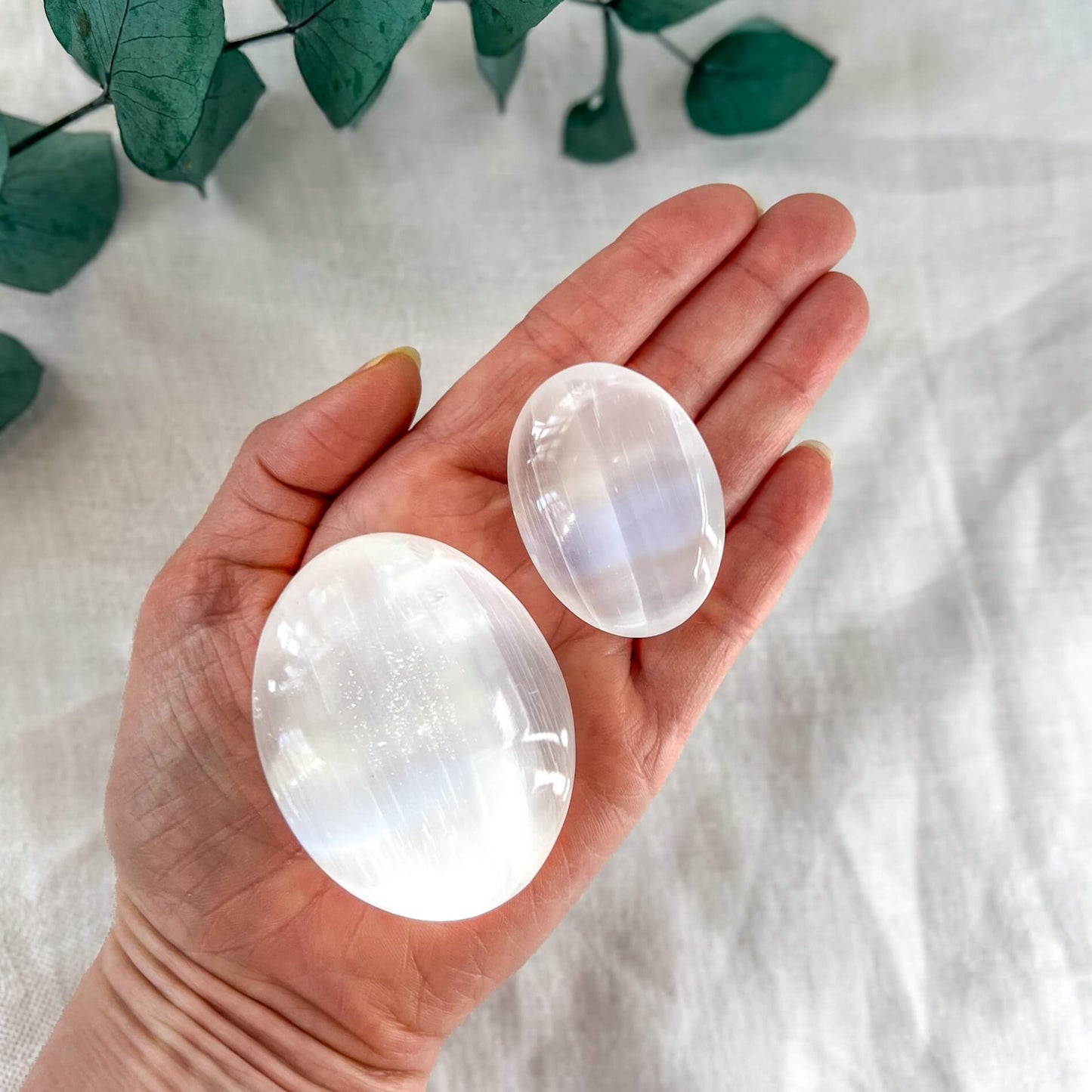 An open hand with a large and a small oval white selenite crystal palmstone with a white backdrop with eucalyptus leaves