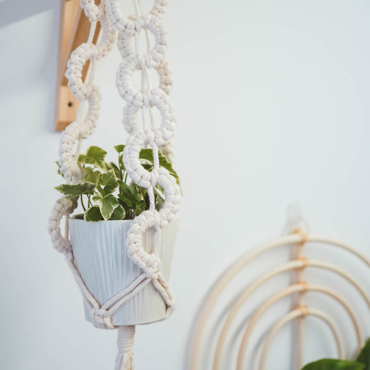 Close up of a blue plant pot and plant hung in a white wavy macrame plant hanger with a cane rainbow in the background