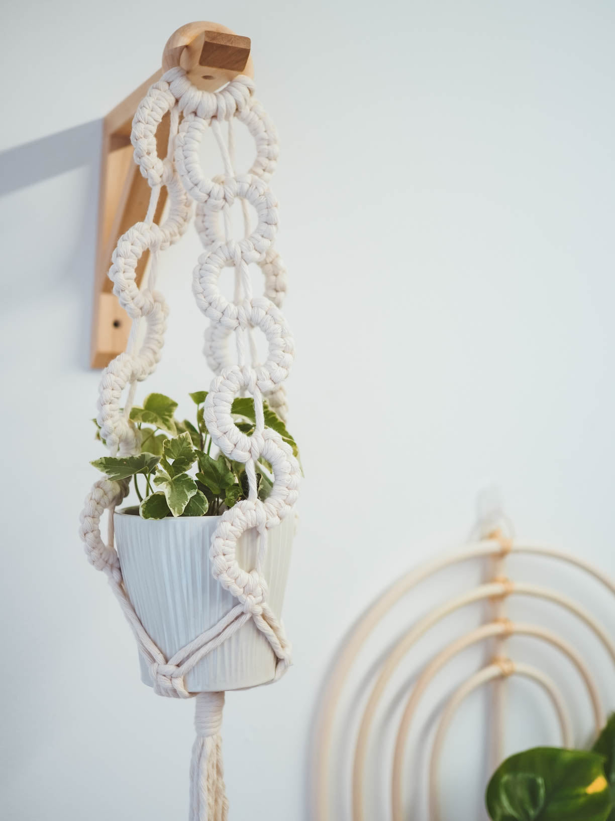 A pale blue plant pot and plant hung in a white wavy macrame plant hanger with a cane rainbow in the background
