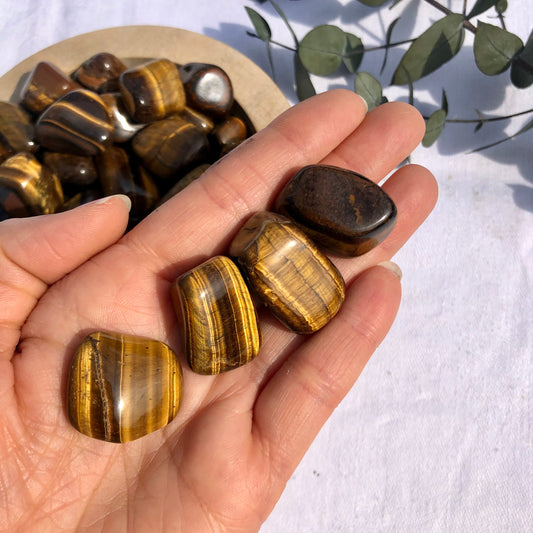 Flashy Tiger's eye tumbles in the palm of a hand
