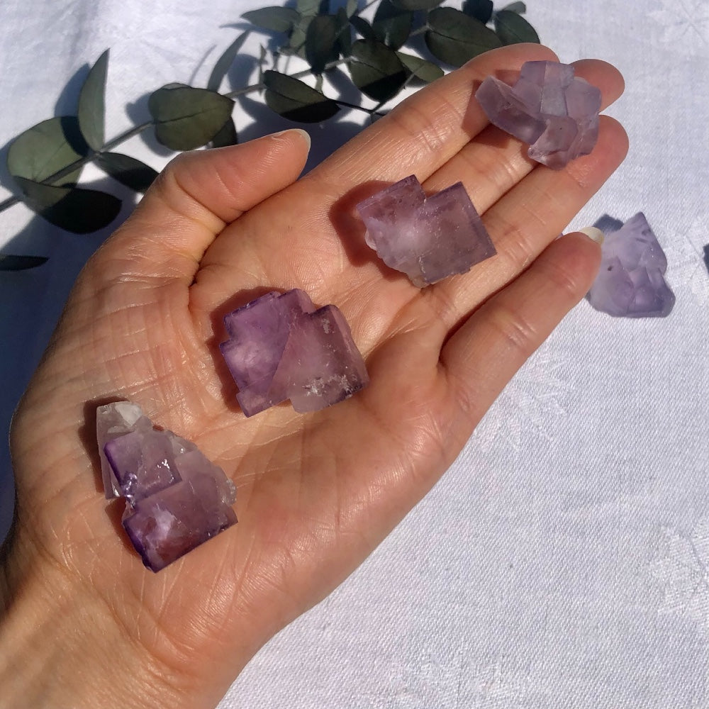Fluorite - Purple Cubic Crystal Specimens