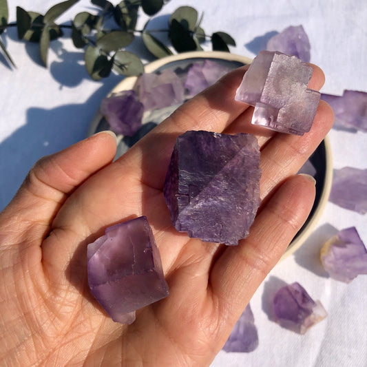 Fluorite - Purple Cubic Crystal Specimens