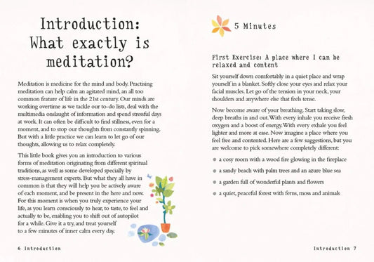 Internal excerpt showing introduction of The Little Book of Meditation