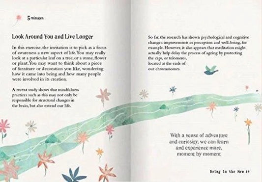 Internal pages of book showing a mindfulness exercise and an illustration of a meandering river