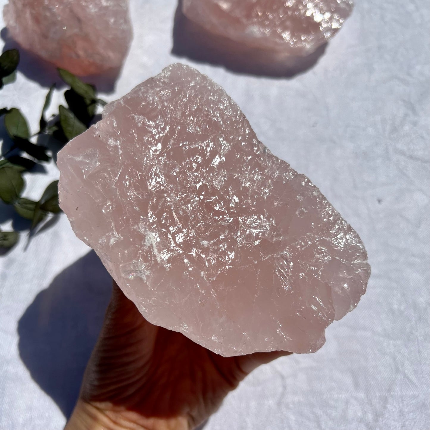 Rose Quartz Raw Crystal Pieces - XXL