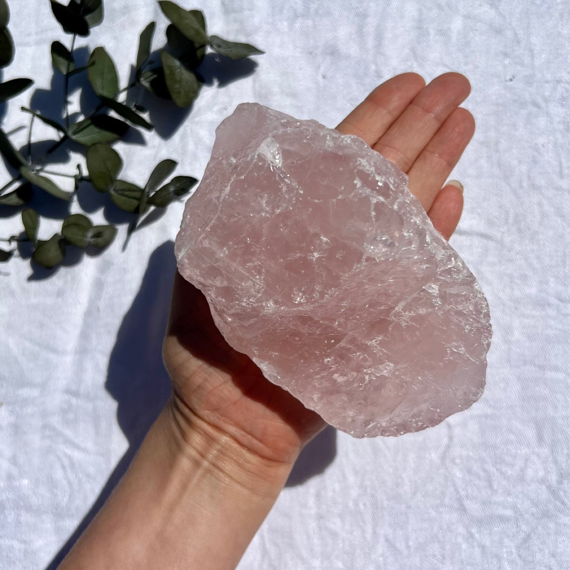 Rose Quartz Raw Crystal Pieces - XXL