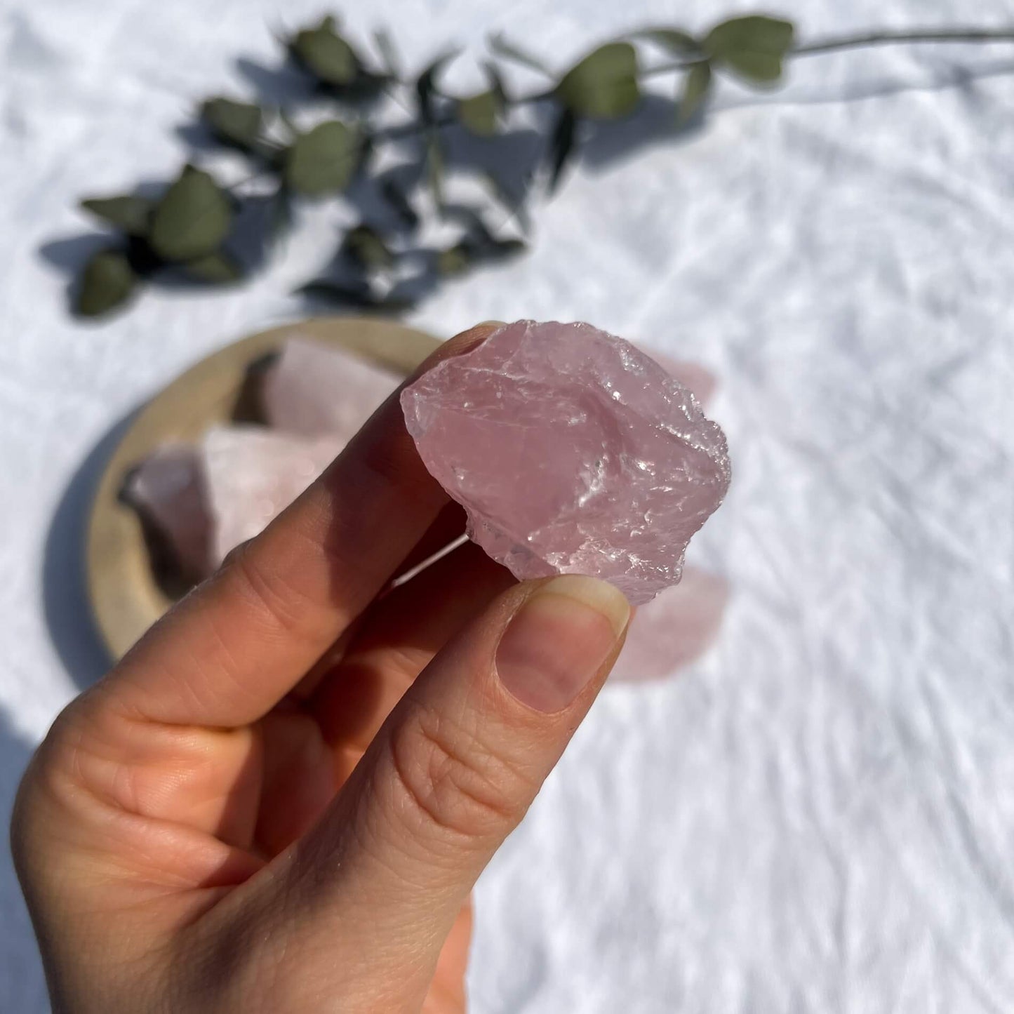 A gemmy pink raw rose quartz crystal chunk is held to camera